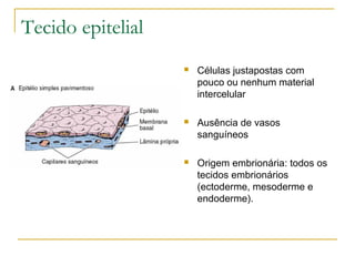 Tecido epitelial Células justapostas com pouco ou nenhum material intercelular Ausência de vasos sanguíneos Origem embrionária: todos os tecidos embrionários (ectoderme, mesoderme e endoderme). 