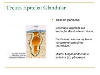 Tecido Epitelial Glandular Tipos de glândulas: Exócrinas: expelem sua secreção através de um ducto; Endócrinas: sua secreção cai na corrente sanguínea (hormônios); Mistas: função endócrina e exócrina (ex. pâncreas). 