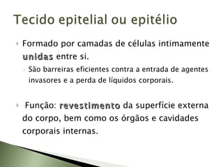Formado por camadas de células intimamente  unidas   entre si. São barreiras eficientes contra a entrada de agentes invasores e a perda de líquidos corporais. Função:  revestimento   da superfície externa do corpo, bem como os órgãos e cavidades corporais internas. 