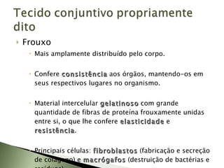Frouxo Mais amplamente distribuído pelo corpo. Confere  consistência   aos órgãos, mantendo-os em seus respectivos lugares no organismo. Material intercelular  gelatinoso   com grande quantidade de fibras de proteína frouxamente unidas entre si, o que lhe confere  elasticidade   e  resistência . Principais células:  fibroblastos   (fabricação e secreção de colágeno) e  macrógafos   (destruição de bactérias e resíduos). 
