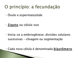 Óvulo e espermatozóide Zigoto  ou célula-ovo Inicia-se a embriogênese: divisões celulares sucessivas – clivagem ou segmentação Cada nova célula é denominada  blastômero 