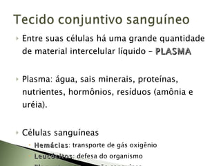 Entre suas células há uma grande quantidade de material intercelular líquido –  PLASMA Plasma: água, sais minerais, proteínas, nutrientes, hormônios, resíduos (amônia e uréia). Células sanguíneas Hemácias : transporte de gás oxigênio Leucócitos : defesa do organismo Plaquetas : coagulação sanguínea 