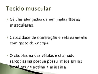 Células alongadas denominadas  fibras   musculares . Capacidade de  contração   e  relaxamento   com gasto de energia. O citoplasma das células é chamado sarcoplasma porque possui  miofibrilas   protéicas de  actina   e  miosina . 