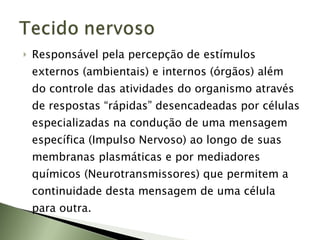 Responsável pela percepção de estímulos externos (ambientais) e internos (órgãos) além do controle das atividades do organismo através de respostas “rápidas” desencadeadas por células especializadas na condução de uma mensagem específica (Impulso Nervoso) ao longo de suas membranas plasmáticas e por mediadores químicos (Neurotransmissores) que permitem a continuidade desta mensagem de uma célula para outra. 