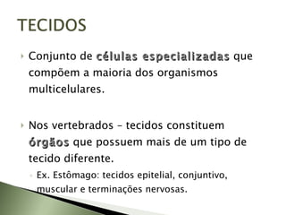 Conjunto de  células especializadas  que compõem a maioria dos organismos multicelulares. Nos vertebrados – tecidos constituem  órgãos   que possuem mais de um tipo de tecido diferente.  Ex. Estômago: tecidos epitelial, conjuntivo, muscular e terminações nervosas. 