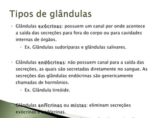 Glândulas  exócrinas : possuem um canal por onde acontece a saída das secreções para fora do corpo ou para cavidades internas de órgãos. Ex. Glândulas sudoríparas e glândulas salivares. Glândulas  endócrinas : não possuem canal para a saída das secreções, as quais são secretadas diretamente no sangue. As secreções das glândulas endócrinas são genericamente chamadas de hormônios.  Ex. Glândula tireóide. Glândulas  anfícrinas   ou  mistas :  eliminam secreções exócrinas e endócrinas. Ex: Pâncreas (Suco Pancreático no Duodeno; e Insulina e Glucagon no Sangue). 