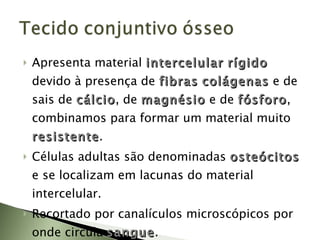 Apresenta material  intercelular   rígido   devido à presença de  fibras   colágenas   e de sais de  cálcio , de  magnésio   e de  fósforo , combinamos para formar um material muito  resistente . Células adultas são denominadas  osteócitos   e se localizam em lacunas do material intercelular. Recortado por canalículos microscópicos por onde circula  sangue . 