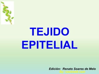 TEJIDO
EPITELIAL
    Edición: Renato Soares de Melo
           By: casimedi.com
 