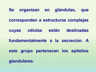 Se   organizan    en   glándulas,   que

corresponden a estructuras complejas

cuyas   células    están    destinadas

fundamentalmente a la secreción. A

este grupo pertenecen los epitelios

glandulares.
 