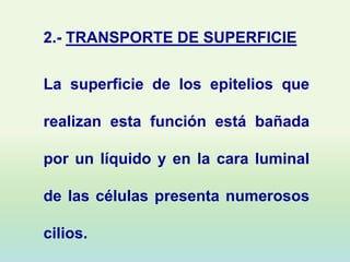 2.- TRANSPORTE DE SUPERFICIE

La superficie de los epitelios que

realizan esta función está bañada

por un líquido y en la cara luminal

de las células presenta numerosos

cilios.
 