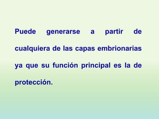Puede    generarse   a   partir   de

cualquiera de las capas embrionarias

ya que su función principal es la de

protección.
 