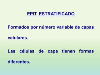 EPIT. ESTRATIFICADO

Formados por número variable de capas

celulares.

Las células de capa tienen formas

diferentes.
 
