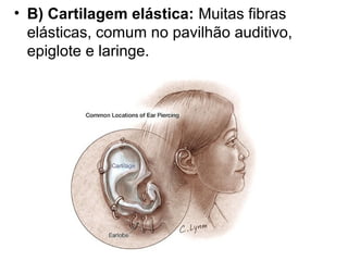 • B) Cartilagem elástica: Muitas fibras
  elásticas, comum no pavilhão auditivo,
  epiglote e laringe.
 