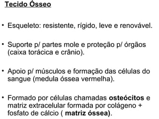 Tecido Ósseo

• Esqueleto: resistente, rígido, leve e renovável.

• Suporte p/ partes mole e proteção p/ órgãos
  (caixa torácica e crânio).

• Apoio p/ músculos e formação das células do
  sangue (medula óssea vermelha).

• Formado por células chamadas osteócitos e
  matriz extracelular formada por colágeno +
  fosfato de cálcio ( matriz óssea).
 