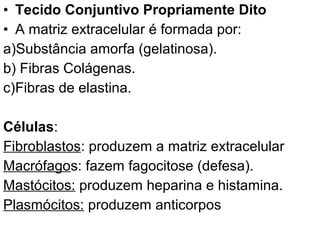 • Tecido Conjuntivo Propriamente Dito
• A matriz extracelular é formada por:
a)Substância amorfa (gelatinosa).
b) Fibras Colágenas.
c)Fibras de elastina.

Células:
Fibroblastos: produzem a matriz extracelular
Macrófagos: fazem fagocitose (defesa).
Mastócitos: produzem heparina e histamina.
Plasmócitos: produzem anticorpos
 