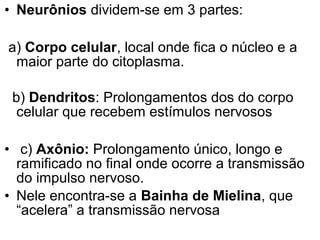 • Neurônios dividem-se em 3 partes:

a) Corpo celular, local onde fica o núcleo e a
 maior parte do citoplasma.

 b) Dendritos: Prolongamentos dos do corpo
  celular que recebem estímulos nervosos

• c) Axônio: Prolongamento único, longo e
  ramificado no final onde ocorre a transmissão
  do impulso nervoso.
• Nele encontra-se a Bainha de Mielina, que
  “acelera” a transmissão nervosa
 