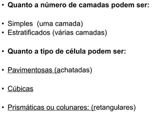 • Quanto a número de camadas podem ser:

• Simples (uma camada)
• Estratificados (várias camadas)

• Quanto a tipo de célula podem ser:

• Pavimentosas (achatadas)

• Cúbicas

• Prismáticas ou colunares: (retangulares)
 