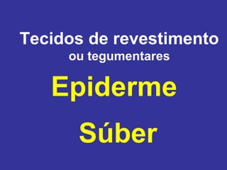 Tecidos de revestimento
     ou tegumentares

   Epiderme
      Súber
 