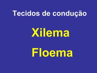 Tecidos de condução

    Xilema
    Floema
 