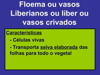 Floema ou vasos
 Liberianos ou líber ou
    vasos crivados
Características
 - Células vivas
 - Transporta seiva elaborada das
 folhas para todo o vegetal
 