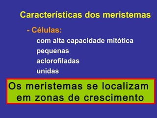 Características dos meristemas
   - Células:
     com alta capacidade mitótica
     pequenas
     aclorofiladas
     unidas

Os meristemas se localizam
 em zonas de crescimento
 