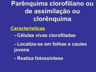 Parênquima clorofiliano ou
    de assimilação ou
       clorênquima
Características
 - Células vivas clorofiladas
 - Localiza-se em folhas e caules
 jovens
 - Realiza fotossíntese
 