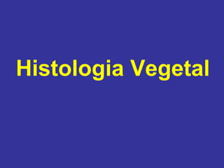 Histologia Vegetal
 
