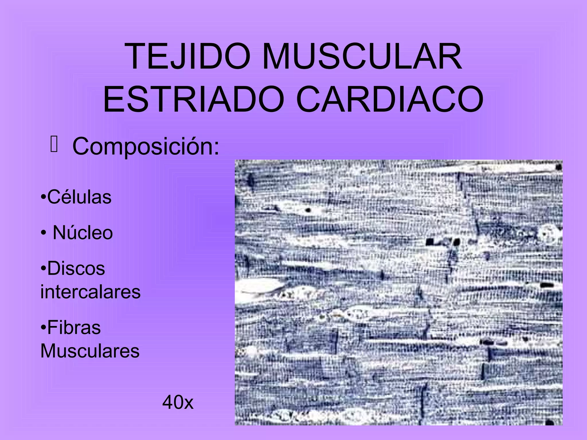 Histología; Musculo estriado cardíaco: Miocardio. | PPT