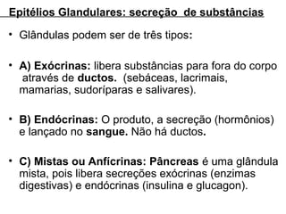 Epitélios Glandulares: secreção de substâncias
• Glândulas podem ser de três tipos:
• A) Exócrinas: libera substâncias para fora do corpo
através de ductos. (sebáceas, lacrimais,
mamarias, sudoríparas e salivares).
• B) Endócrinas: O produto, a secreção (hormônios)
e lançado no sangue. Não há ductos.
• C) Mistas ou Anfícrinas: Pâncreas é uma glândula
mista, pois libera secreções exócrinas (enzimas
digestivas) e endócrinas (insulina e glucagon).

 