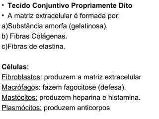 • Tecido Conjuntivo Propriamente Dito
• A matriz extracelular é formada por:
a)Substância amorfa (gelatinosa).
b) Fibras Colágenas.
c)Fibras de elastina.
Células:
Fibroblastos: produzem a matriz extracelular
Macrófagos: fazem fagocitose (defesa).
Mastócitos: produzem heparina e histamina.
Plasmócitos: produzem anticorpos

 