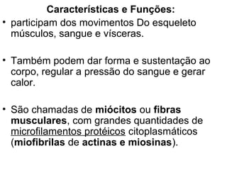 Características e Funções:
• participam dos movimentos Do esqueleto
músculos, sangue e vísceras.
• Também podem dar forma e sustentação ao
corpo, regular a pressão do sangue e gerar
calor.
• São chamadas de miócitos ou fibras
musculares, com grandes quantidades de
microfilamentos protéicos citoplasmáticos
(miofibrilas de actinas e miosinas).

 