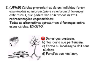 2. (UFMG) Células provenientes de um indivíduo foram
examinadas ao microscópio e revelaram diferenças
estruturais, que podem ser observadas nestas
representações esquemáticas:
Todas as alternativas apresentam diferenças entre
essas células, EXCETO:
a) Genes que possuem.
b) Tecidos a que pertencem.
c) Forma ou localização dos seus
núcleos.
d) Funções que realizam.

 