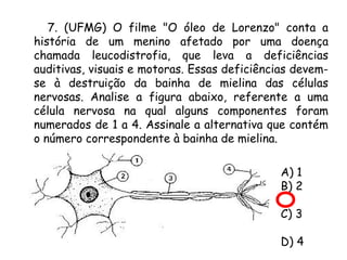 7. (UFMG) O filme "O óleo de Lorenzo" conta a
história de um menino afetado por uma doença
chamada leucodistrofia, que leva a deficiências
auditivas, visuais e motoras. Essas deficiências devemse à destruição da bainha de mielina das células
nervosas. Analise a figura abaixo, referente a uma
célula nervosa na qual alguns componentes foram
numerados de 1 a 4. Assinale a alternativa que contém
o número correspondente à bainha de mielina.
A) 1
B) 2
C) 3
D) 4

 
