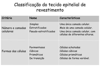 Classificação do tecido epitelial de
revestimento
Critério

Nome

Características

Número e camadas
celulares

Simples
Estratificados
Pseudo-estratificados

Uma única camada celular.
Mais de uma camada celular.
Uma única camada celular, com
células de diferentes alturas.

Pavimentosos
Cúbicos
Prismáticos
De transição

Células
Células
Células
Células

Formas das células

achatadas
cúbicas
prismáticas
de forma variável.

 