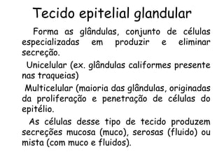 Tecido epitelial glandular
Forma as glândulas, conjunto de células
especializadas em produzir e eliminar
secreção.
Unicelular (ex. glândulas califormes presente
nas traqueias)
Multicelular (maioria das glândulas, originadas
da proliferação e penetração de células do
epitélio.
As células desse tipo de tecido produzem
secreções mucosa (muco), serosas (fluido) ou
mista (com muco e fluidos).

 
