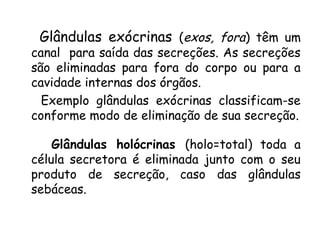 Glândulas exócrinas (exos, fora) têm um

canal para saída das secreções. As secreções
são eliminadas para fora do corpo ou para a
cavidade internas dos órgãos.
Exemplo glândulas exócrinas classificam-se
conforme modo de eliminação de sua secreção.

Glândulas holócrinas (holo=total) toda a
célula secretora é eliminada junto com o seu
produto de secreção, caso das glândulas
sebáceas.

 