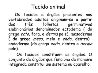 Tecido animal
.
tecidos e órgãos presentes

Os
nos
vertebrados adultos originam-se a partir
dos
três
folhetos
germinativos
embrionários denominados ectodema ( do
grego ecto, fora, e derma pele), mesoderma
( do grego meso, meio e endo, dentro)
endoderma (do grego endo, dentro e derma
pele).
Os tecidos constituem os órgãos. O
conjunto de órgãos que funciona de maneira
integrada constitui um sistema ou aparelho.

 