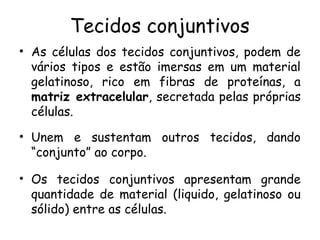 Tecidos conjuntivos
• As células dos tecidos conjuntivos, podem de
vários tipos e estão imersas em um material
gelatinoso, rico em fibras de proteínas, a
matriz extracelular, secretada pelas próprias
células.
• Unem e sustentam outros tecidos, dando
“conjunto” ao corpo.
• Os tecidos conjuntivos apresentam grande
quantidade de material (liquido, gelatinoso ou
sólido) entre as células.

 