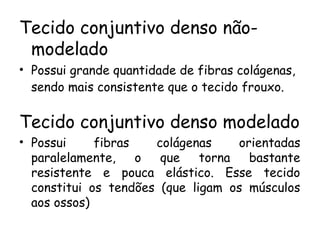 Tecido conjuntivo denso nãomodelado
• Possui grande quantidade de fibras colágenas,
sendo mais consistente que o tecido frouxo.

Tecido conjuntivo denso modelado
• Possui
fibras
colágenas
orientadas
paralelamente,
o
que
torna
bastante
resistente e pouca elástico. Esse tecido
constitui os tendões (que ligam os músculos
aos ossos)

 