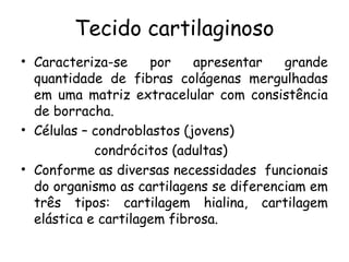 Tecido cartilaginoso
• Caracteriza-se
por
apresentar
grande
quantidade de fibras colágenas mergulhadas
em uma matriz extracelular com consistência
de borracha.
• Células – condroblastos (jovens)
condrócitos (adultas)
• Conforme as diversas necessidades funcionais
do organismo as cartilagens se diferenciam em
três tipos: cartilagem hialina, cartilagem
elástica e cartilagem fibrosa.

 