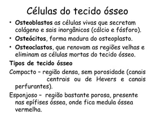 Células do tecido ósseo
• Osteoblastos as células vivas que secretam
colágeno e sais inorgânicos (cálcio e fósforo).
• Osteócitos, forma madura do osteoplasto.
• Osteoclastos, que renovam as regiões velhas e
eliminam as células mortas do tecido ósseo.
Tipos de tecido ósseo
Compacto – região densa, sem porosidade (canais
centrais ou de Hevers e canais
perfurantes).
Esponjoso – região bastante porosa, presente
nas epífises óssea, onde fica medula óssea
vermelha.

 