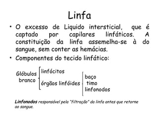 Linfa
• O excesso de Liquido intersticial,
que é
captado
por
capilares
linfáticos.
A
constituição da linfa assemelha-se à do
sangue, sem conter as hemácias.
• Componentes do tecido linfático:
Glóbulos linfócitos
baço
branco
órgãos linfóides timo
linfonodos
Linfonodos responsável pela “filtração” da linfa antes que retorne
ao sangue.

 