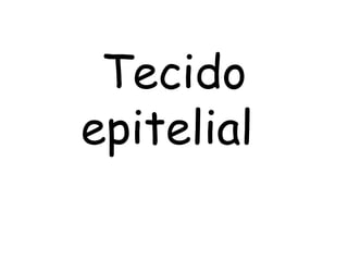 Tecido
epitelial

 