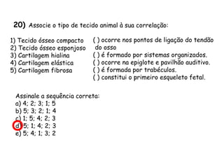 20) Associe o tipo de tecido animal à sua correlação:
1) Tecido ósseo compacto
2) Tecido ósseo esponjoso
3) Cartilagem hialina
4) Cartilagem elástica
5) Cartilagem fibrosa

( ) ocorre nos pontos de ligação do tendão
do osso
( ) é formado por sistemas organizados.
( ) ocorre na epiglote e pavilhão auditivo.
( ) é formada por trabéculos.
( ) constitui o primeiro esqueleto fetal.

Assinale a sequência correta:
a) 4; 2; 3; 1; 5
b) 5; 3; 2; 1; 4
c) 1; 5; 4; 2; 3
d) 5; 1; 4; 2; 3
e) 5; 4; 1; 3; 2

 