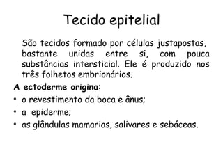 Tecido epitelial
São tecidos formado por células justapostas,
bastante unidas entre si, com pouca
substâncias intersticial. Ele é produzido nos
três folhetos embrionários.
A ectoderme origina:
• o revestimento da boca e ânus;
• a epiderme;
• as glândulas mamarias, salivares e sebáceas.

 