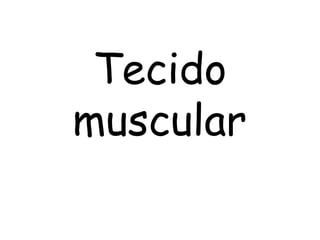 Tecido
muscular

 