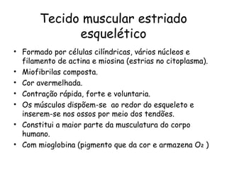 Tecido muscular estriado
esquelético
• Formado por células cilíndricas, vários núcleos e
filamento de actina e miosina (estrias no citoplasma).
• Miofibrilas composta.
• Cor avermelhada.
• Contração rápida, forte e voluntaria.
• Os músculos dispõem-se ao redor do esqueleto e
inserem-se nos ossos por meio dos tendões.
• Constitui a maior parte da musculatura do corpo
humano.
• Com mioglobina (pigmento que da cor e armazena O2 )

 