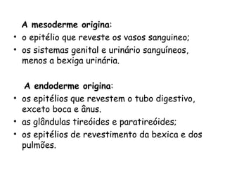 A mesoderme origina:
• o epitélio que reveste os vasos sanguineo;
• os sistemas genital e urinário sanguíneos,
menos a bexiga urinária.
A endoderme origina:
• os epitélios que revestem o tubo digestivo,
exceto boca e ânus.
• as glândulas tireóides e paratireóides;
• os epitélios de revestimento da bexica e dos
pulmões.

 