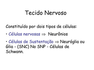 Tecido Nervoso
Constituído por dois tipos de células:
• Células nervosas ⇒ Neurônios
• Células de Sustentação ⇒ Neuróglia ou
Glia - (SNC) No SNP - Células de
Schwann.

 