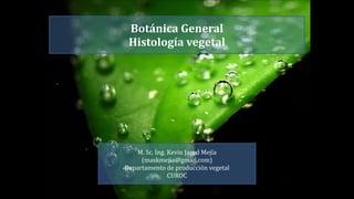 Botánica	
  General	
  
Histología	
  vegetal

M.	
  Sc.	
  Ing.	
  Kevin	
  Jarod	
  Mejía	
  
(maskmejia@gmail.com)	
  
Departamento	
  de	
  producción	
  vegetal	
  
CUROC

 
